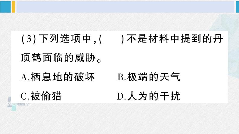 三年级语文下册 第七单元复习卡（原卷+答案+听力+讲解课件）03