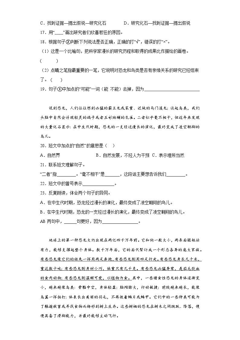 四年级下册第二单元 课内阅读专项练（原卷+答案与解释）-2024部编版语文03