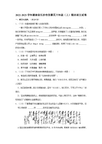 04，湖南省长沙市芙蓉区2022-2023学年六年级上学期期末语文试题