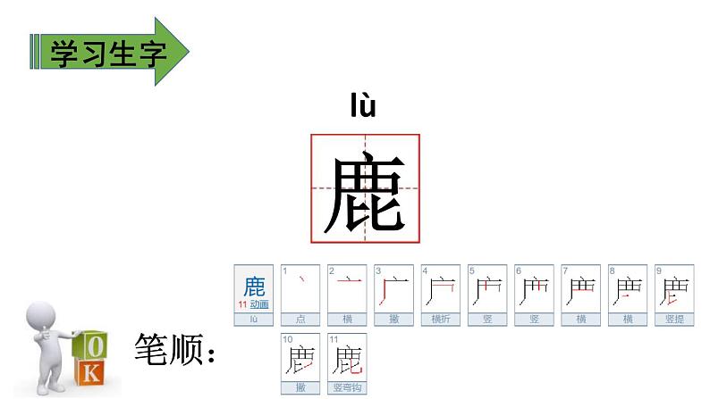 美丽的鹿角PPT课件3第7页