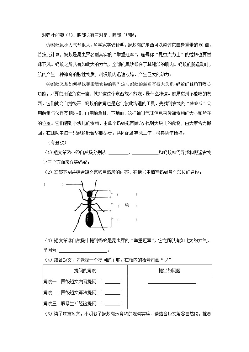 2023-2024学年北京市海淀区四年级上学期期末语文真题及答案03