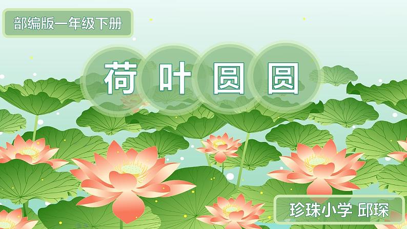 统编版语文一年级下册12《荷叶圆圆》（课件）第5页