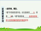第26课宝葫芦的秘密（节选）预习课件