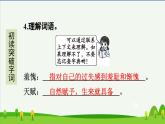 第23课童年的发现预习课件