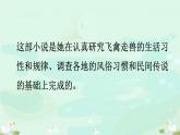 骑鹅旅行记PPT课件2