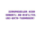 骑鹅旅行记PPT课件8