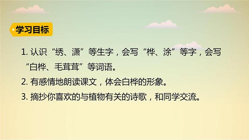 白桦PPT课件3第4页