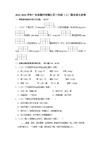 2023-2024学年广东省梅州市梅江区三年级上学期期末语文试卷（含答案）