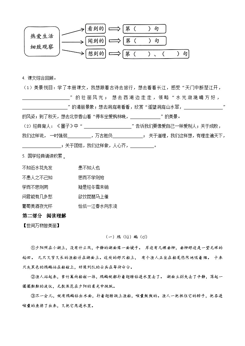 2023-2024学年山东省济宁市邹城市部编版三年级上册期末考试语文试卷（原卷版+解析版）02