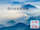 统编版语文五年级下册第10课《青山处处埋忠骨》（课件）