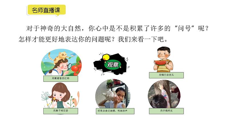 小学语文部编版二年级下册第七单元习作《学写提问诗》教学课件04