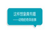 小学语文部编版三年级下册第八单元习作《这样想象真有趣》教学课件