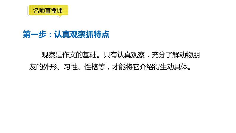 小学语文部编版四年级下册第四单元同步作文《我的动物朋友》教学课件第6页