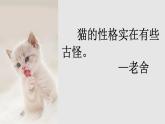 猫  课件 小学语文四年级下册