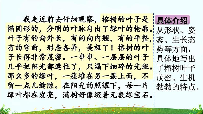 三下第一单元习作：我的植物朋友（范文+点评+升格）精品课件05