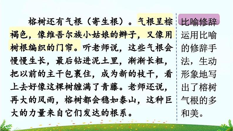 三下第一单元习作：我的植物朋友（范文+点评+升格）精品课件06