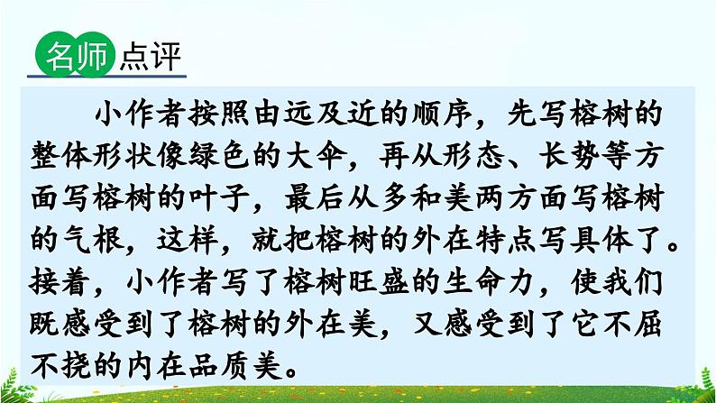 三下第一单元习作：我的植物朋友（范文+点评+升格）精品课件08