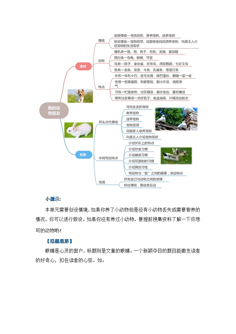 四年级下册第四单元习作：我的动物朋友（教学设计）2023-2024学年下册单元作文能力提升（统编版）第3页