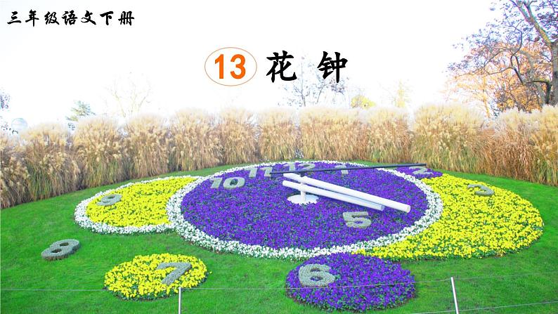 统编版语文三年级下册13《花钟》（课件）第3页