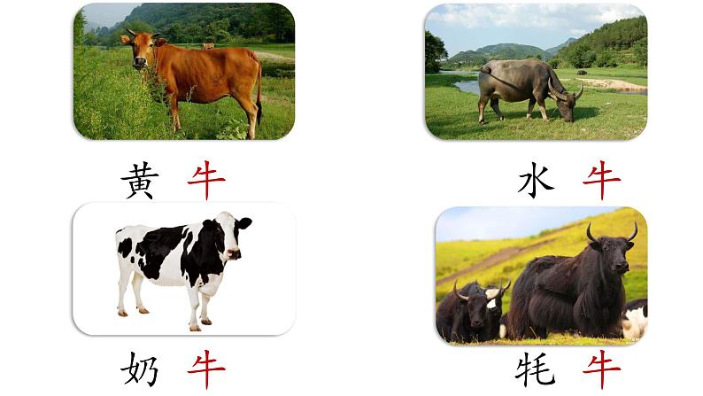 大小多少PPT第8页