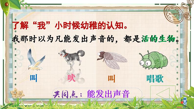 统编版语文六年级下册16.《表里的生物》第二课时（课件）第8页