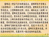 统编版语文三年级下册14《蜜蜂》课件