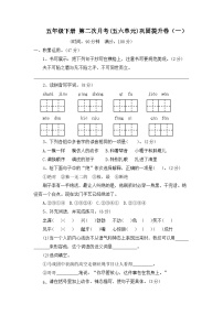 五年级下册语文 第二次月考(五六单元)巩固提升卷（一）原卷+答案 2023-2024学年部编版