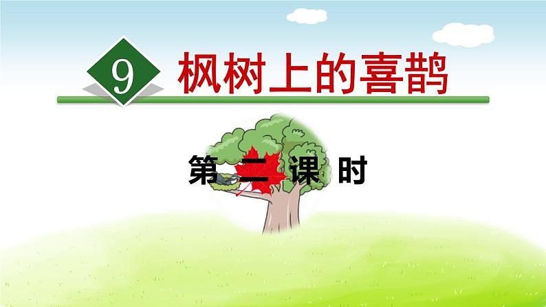 枫树上的喜鹊PPT课件701
