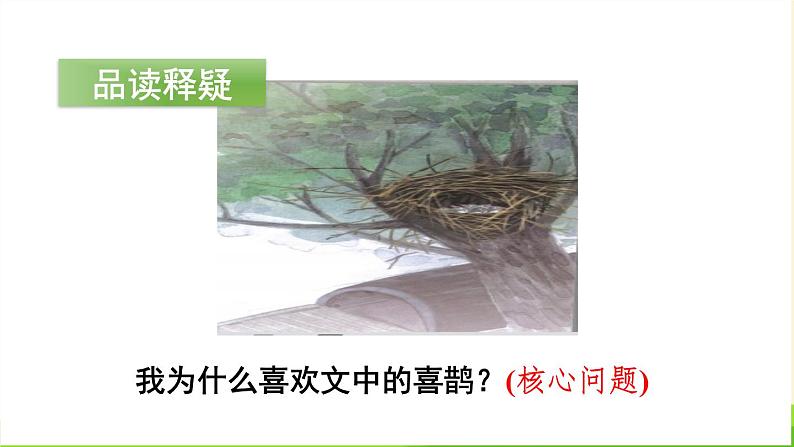 枫树上的喜鹊PPT课件704