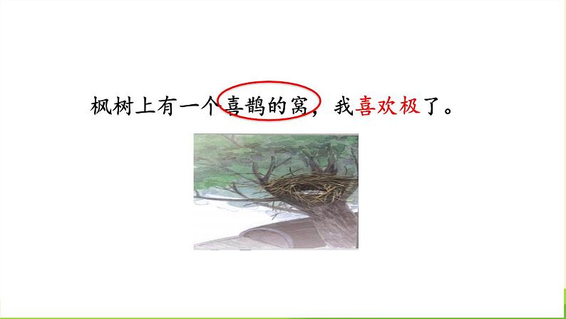 枫树上的喜鹊PPT课件707