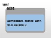 沙滩上的童话PPT课件1