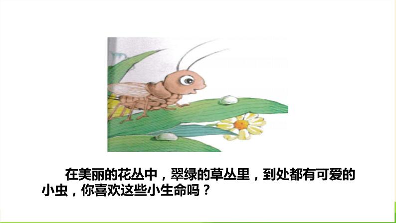 我是一只小虫子PPT课件803