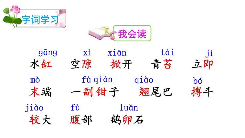 小虾PPT课件703