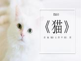 猫PPT课件8
