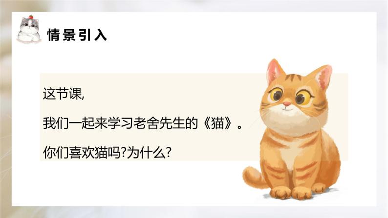 猫PPT课件802