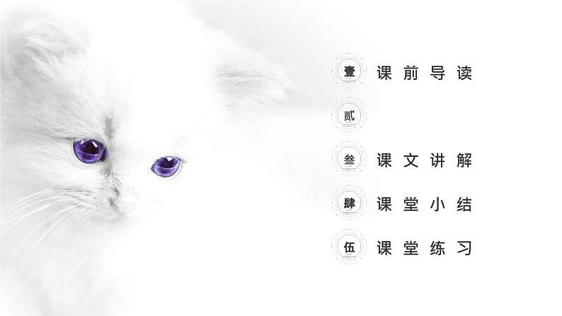 猫PPT课件102