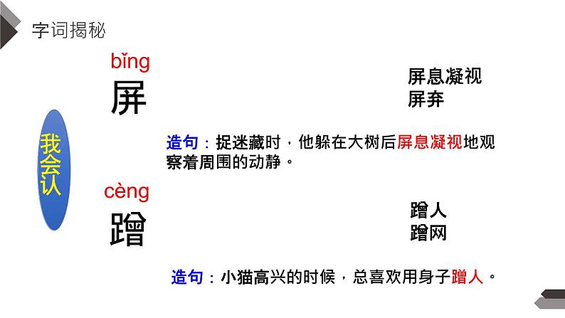 猫PPT课件107