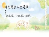 部编版四年级上册第五单元第16课《麻雀》课件PPT