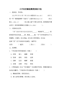 小升初质量检测模拟练习卷（试题）2023-2024学年统编版语文六年级下册