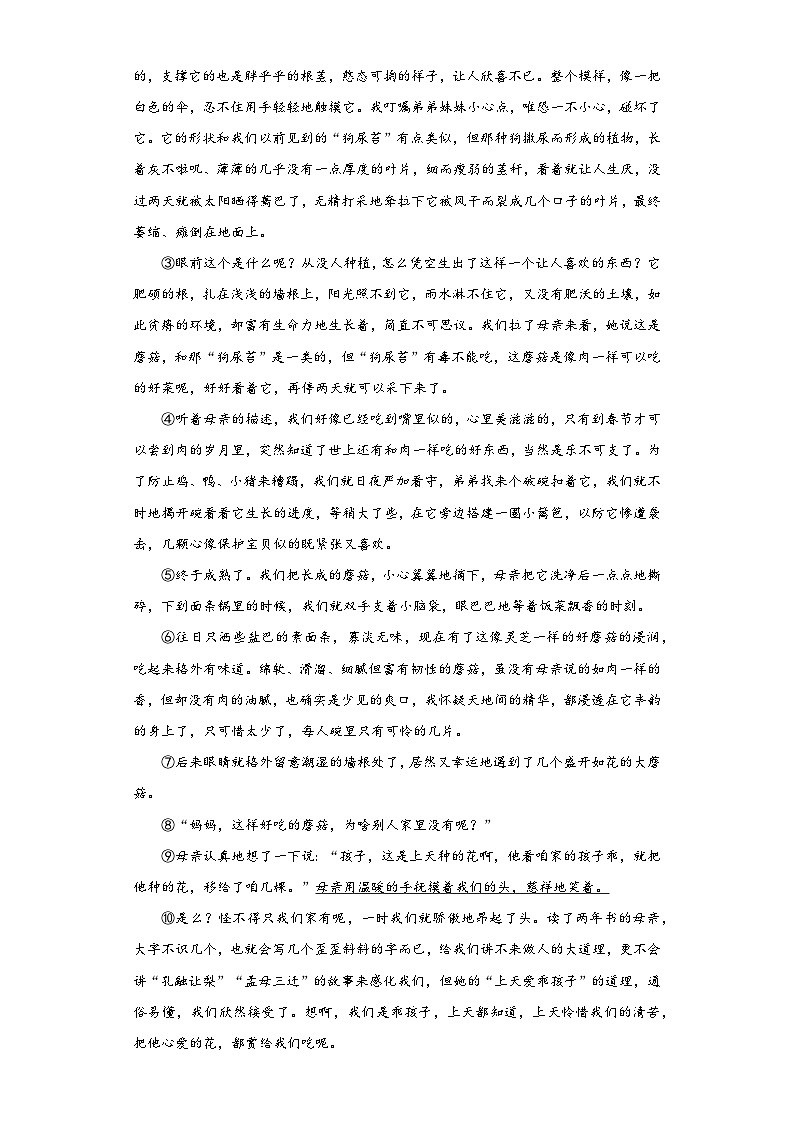 合肥市2024年小升初质量调研卷-语文六年级下册统编版第3页
