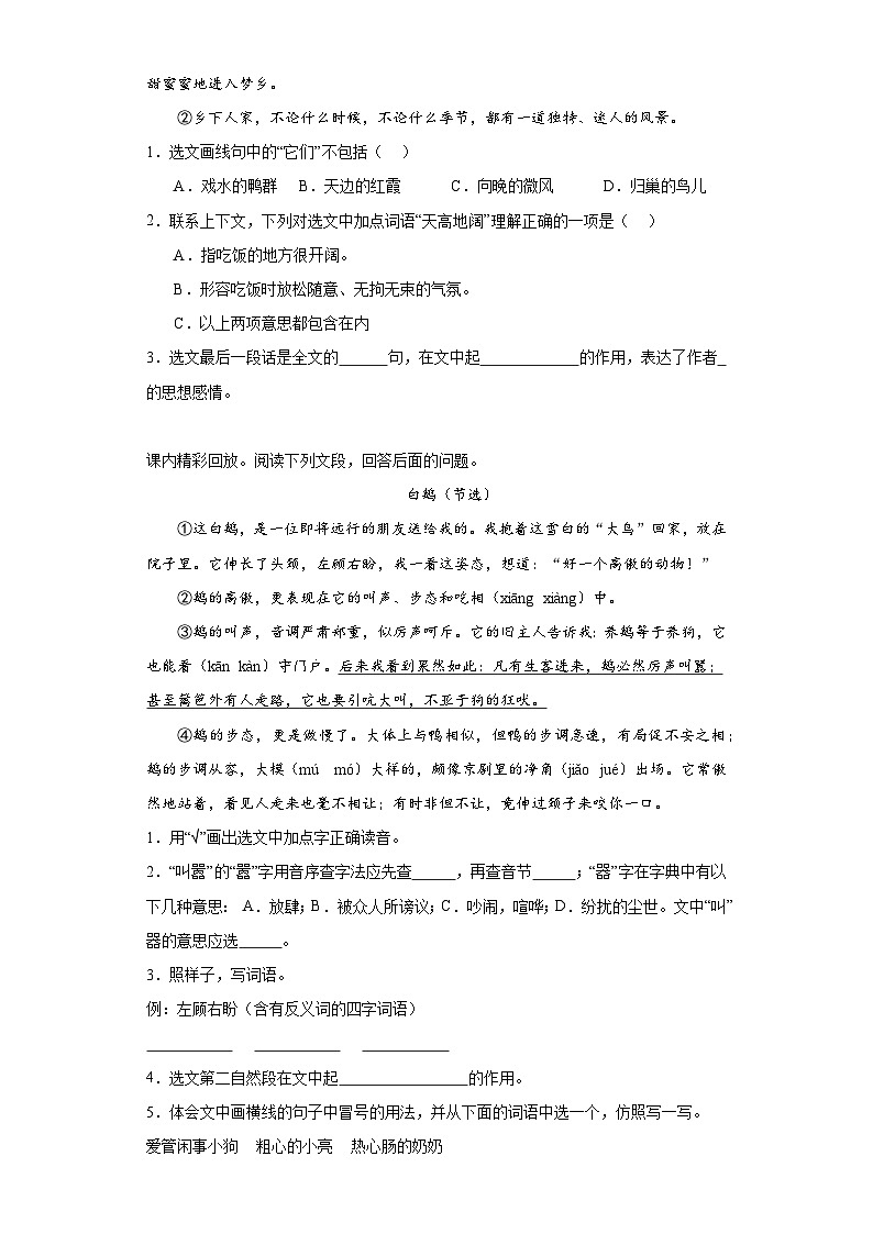 期中阶段调研卷-语文四年级下册统编版03