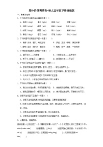 期中阶段调研卷-语文五年级下册统编版