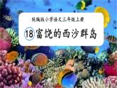 18 富饶的西沙群岛  课件