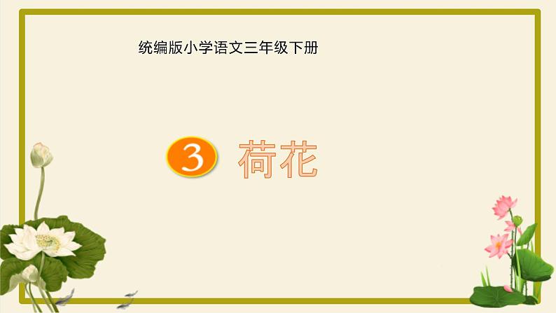 3 荷花 课件 小学语文人教部编版三年级下册第1页