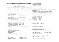 2023-2024学年山东省临沂市兰陵县小升初总复习语文测试卷含答案