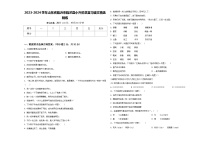 2023-2024学年山东省临沂市临沭县小升初总复习语文精选精练含答案