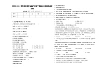 2023-2024学年蚌埠市怀远县六年级下学期小升初招生语文试卷含答案