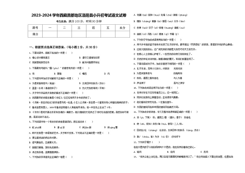 2023-2024学年西藏昌都地区洛隆县小升初考试语文试卷含答案01