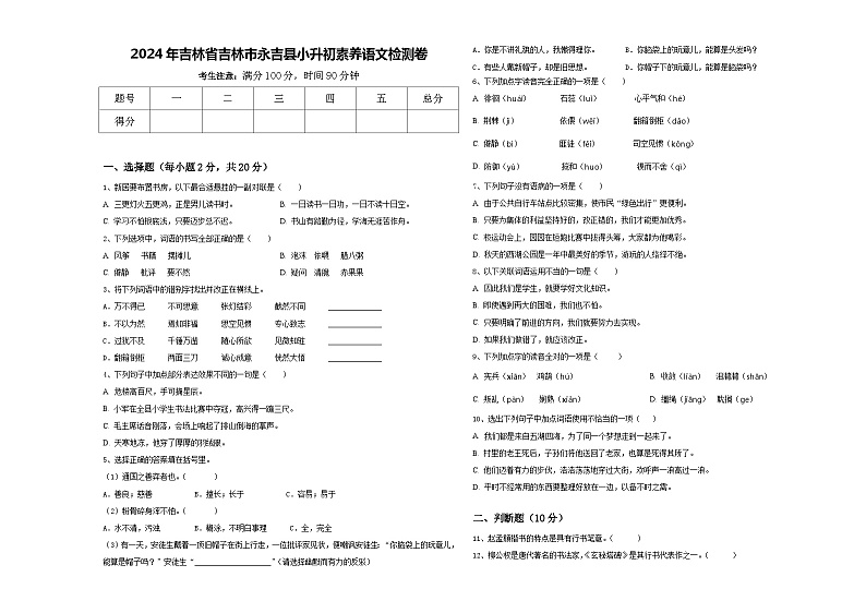 2024年吉林省吉林市永吉县小升初素养语文检测卷含答案01