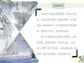 统编版语文四年级下册11《白桦》课件